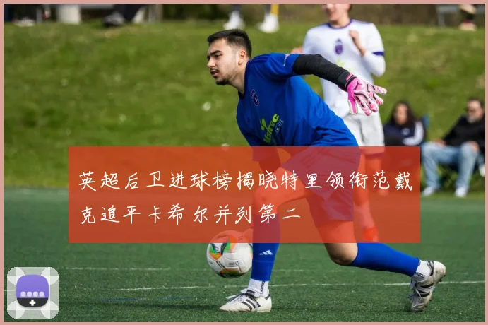 英超后卫进球榜揭晓特里领衔范戴克追平卡希尔并列第二